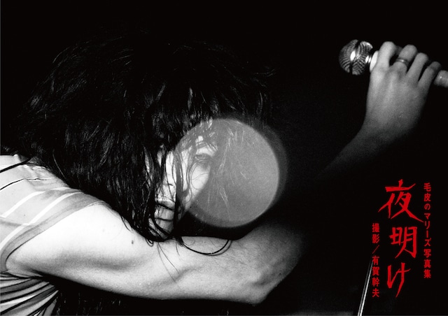 毛皮のマリーズ写真集「夜明け」表紙