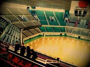 日本武道館内でたたずむTHE BAWDIESの4人。