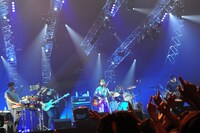 16日の磯部正文BANDのステージ（撮影：TEPPEI）。