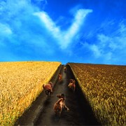 写真はシングル「結界/田園」ジャケット。