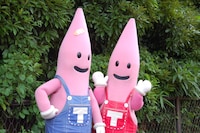 ノッポン兄弟もももクロに興味津々。