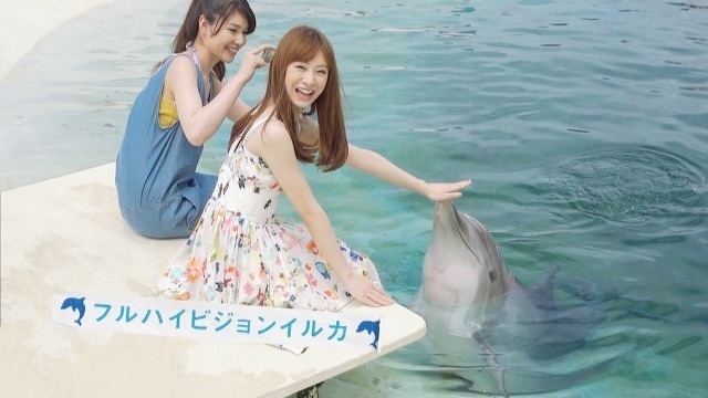 イルカとたわむれる北川景子。