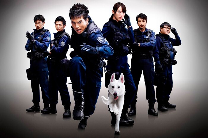 シクラメン 映画 Dog Police 主題歌でデビュー 音楽ナタリー