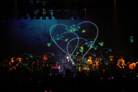 写真は「ピコ LIVE TOUR 2011 ～1PIKO～ “ピコの夏祭り”」の様子