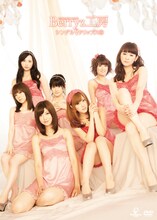 DVD「Berryz工房シングルVクリップス(5)」ジャケット