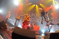 the telephones（写真は8月4日Zepp Sendai公演の模様 / Photo by 古溪一道）