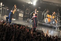 写真は氣志團のライブの様子。