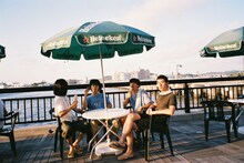 シャムキャッツ