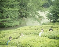 HOLIDAYS OF SEVENTEEN