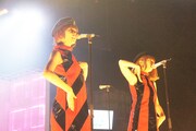 シャッフルユニット（写真は8月28日のDOLL FACTORY「Dream Unit LIVE」より）