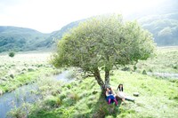 映画「たまたま」のワンシーン。 (C)2011イトーカンパニー/ポニーキャニオン