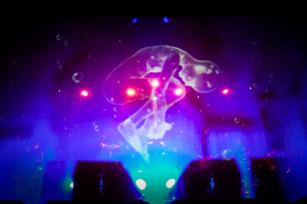 写真は9月19日の「amazarashi 1st LIVE『この街で生きている』」追加公演の様子。