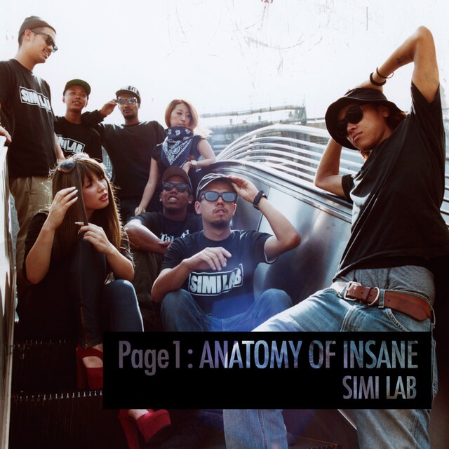 アルバム「Page 1 : ANATOMY OF INSANE」ジャケット