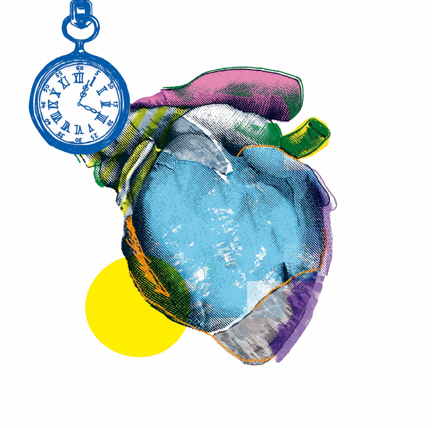 写真はNOVELSが10月12日にリリースするニューアルバム「cardioid」ジャケット。