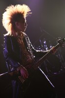 CRAZY "COOL" JOE（B）