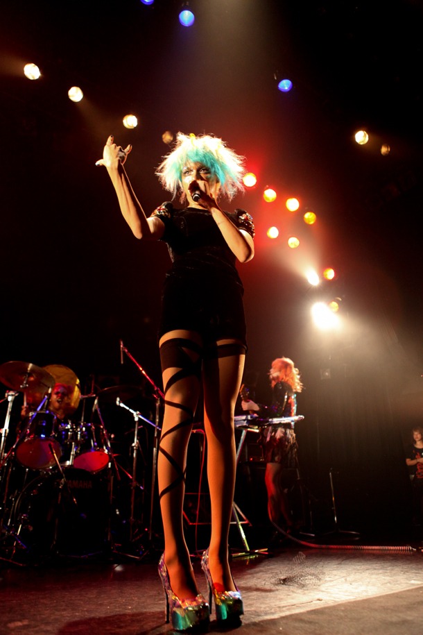 女王蜂（撮影：岩根愛）