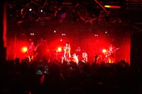 写真は8月27日に東京・渋谷CLUB QUATTROで開催されたキノコホテルの単独実演会「サロン・ド・キノコ～晩夏のヒメゴト」の模様。