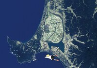 「Gurugle Earth」に封入されるカード。