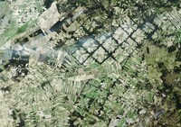 「Gurugle Earth」に封入されるカード。