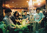 シャムキャッツ