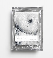 「Gurugle Earth」の写真。