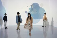 やくしまるえつことd.v.d