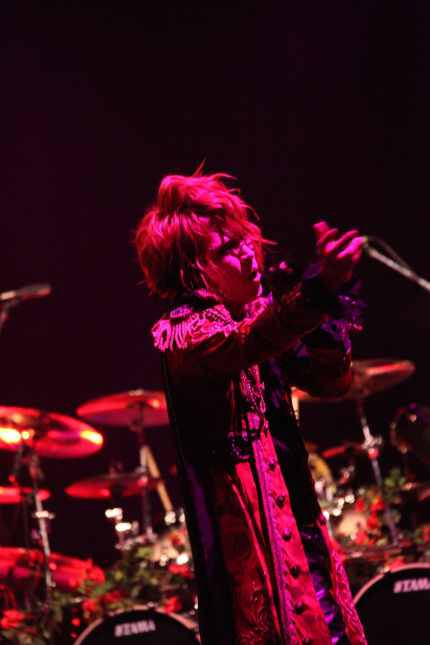 Versailles (C) V-ROCK FESTIVAL '11