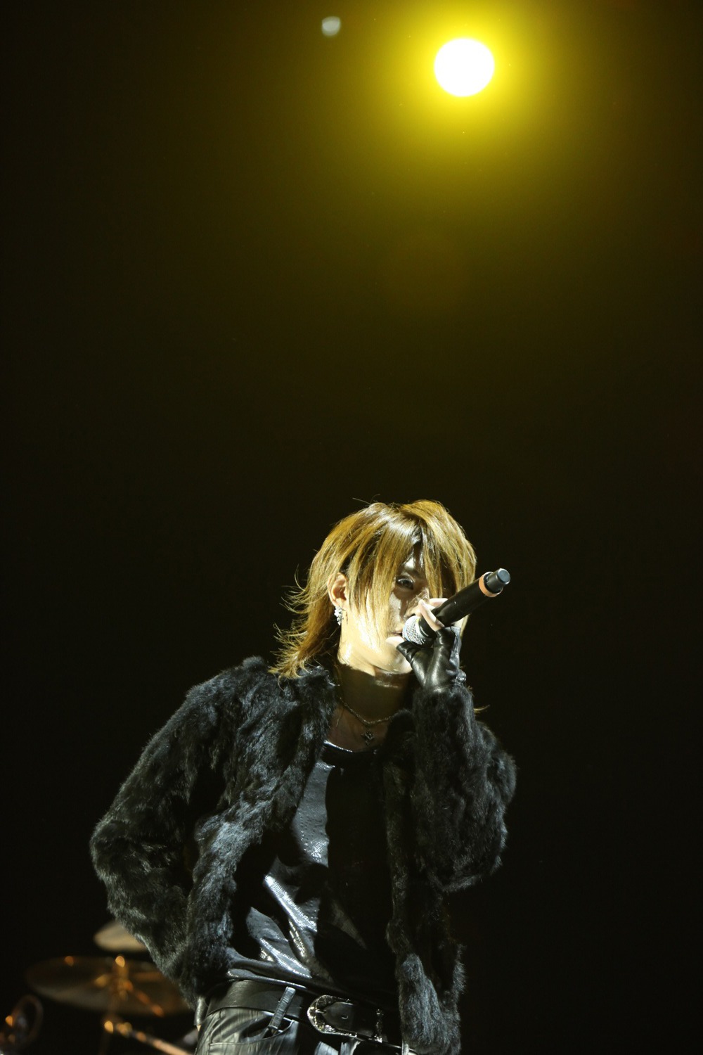 ViViD (C) V-ROCK FESTIVAL '11