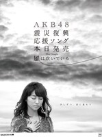 読売新聞愛知版および産経新聞東京版で展開されている、大島優子を起用した新聞広告。