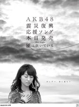 読売新聞愛知版および産経新聞東京版で展開されている、大島優子を起用した新聞広告。