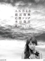 読売新聞北海道版および毎日新聞東京版で展開されている、高橋みなみを起用した新聞広告。