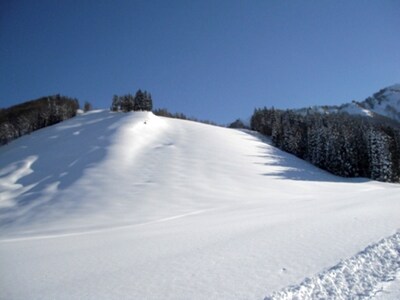 神立高原スキー場（写真）は関越自動車道湯沢インターチェンジから約1km。上越新幹線越後湯沢駅からは無料シャトルバスも運行している。