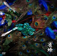 女王蜂初の映像作品集「雀蜂」ジャケット。