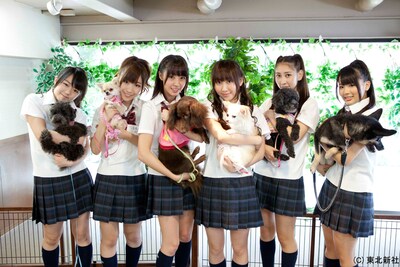 「AKB48 ネ申テレビ シーズン8」Vol.1「センター選手犬」より。写真左から峯岸みなみ、岩佐美咲、藤江れいな、仁藤萌乃、近野莉菜、平嶋夏海。