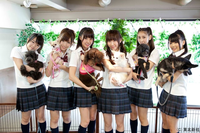 「AKB48 ネ申テレビ シーズン8」Vol.1「センター選手犬」より。写真左から峯岸みなみ、岩佐美咲、藤江れいな、仁藤萌乃、近野莉菜、平嶋夏海。