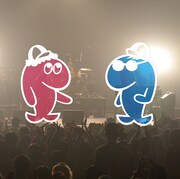 ライブアルバム「15年の日曜日」ジャケット