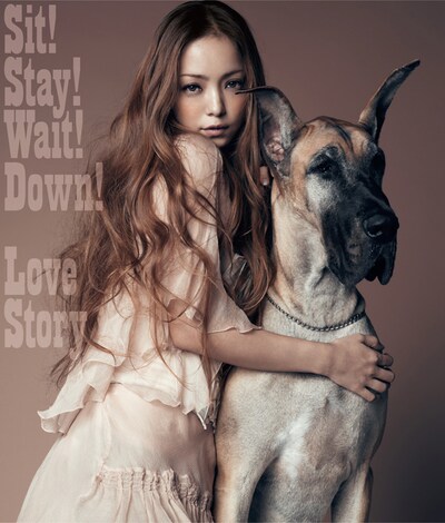 シングル「Sit!Stay!Wait!Down! / Love Story」CD+DVD盤ジャケット