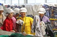 普段使っているレッスン着にわざと醤油やカレーの染みを付けて、実際にクリーニングされる様子をチェックする。