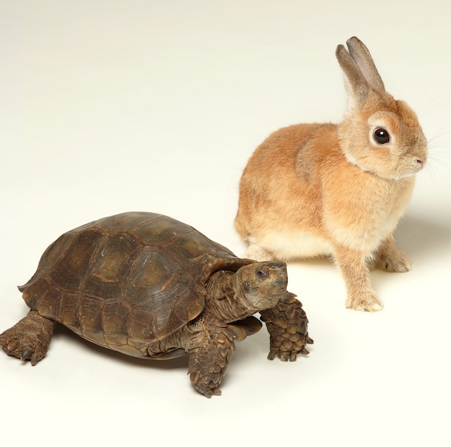 シングル「歩いていこう」ジャケット