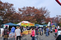 桶川市民ホール前で展開された「おけがわ国際フェア2011」の様子。