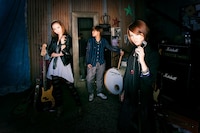 ステレオポニー