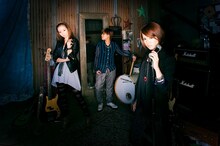 ステレオポニー