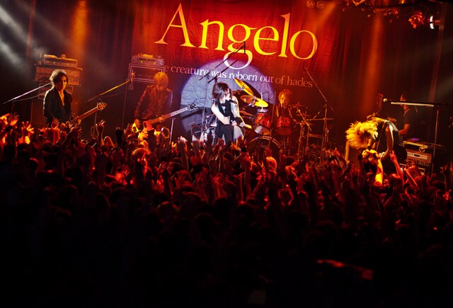 写真は11月20日の横浜ベイホール公演の様子。