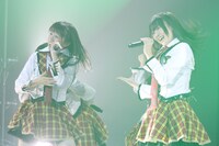 M2「マンゴーNo.2」