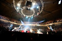 THE BAWDIES（撮影：橋本塁【SOUND SHOOTER】）