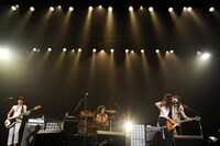 毛皮のマリーズ（Photo by Mikio Ariga）