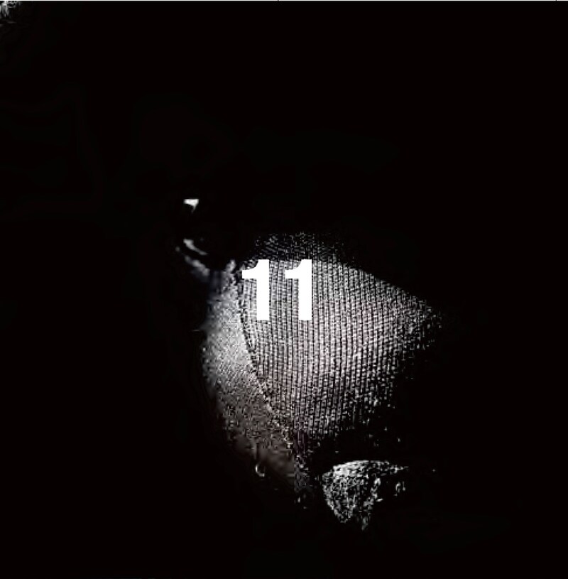 cali≠gari“ニュウアルヴァム”「11」初回限定盤ジャケット