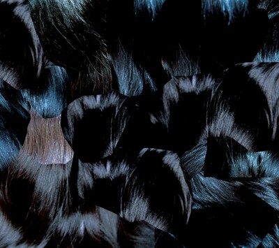 アルバム「GYU」ジャケット