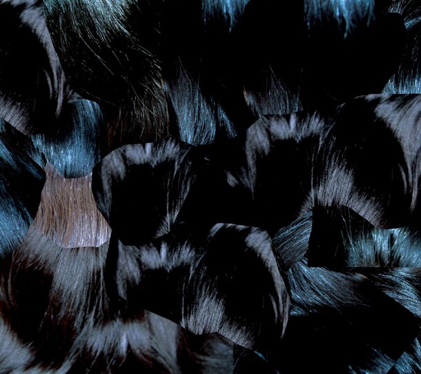 アルバム「GYU」ジャケット