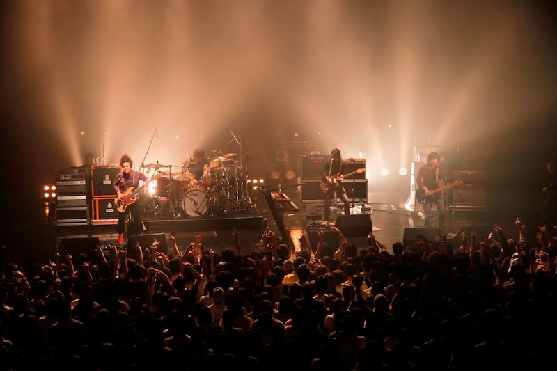 ストレイテナー